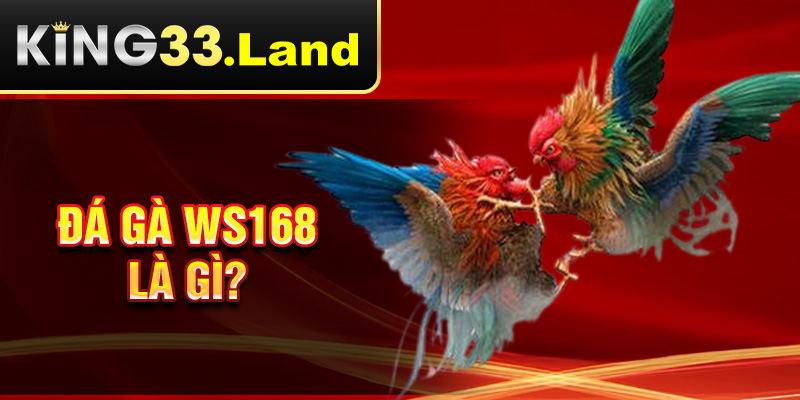 Đá gà WS168 là gì?