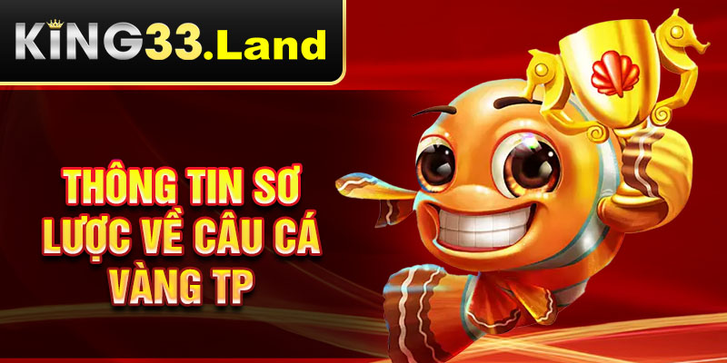 Thông tin sơ lược về câu cá vàng TP