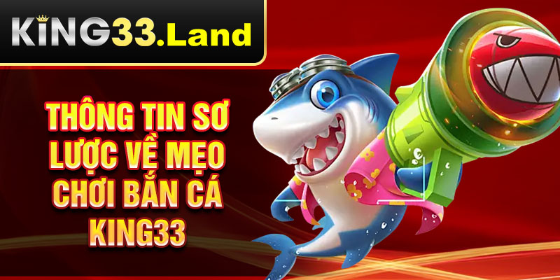 Thông tin sơ lược về mẹo chơi bắn cá King33