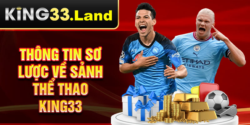 Thông tin sơ lược về sảnh thể thao King33