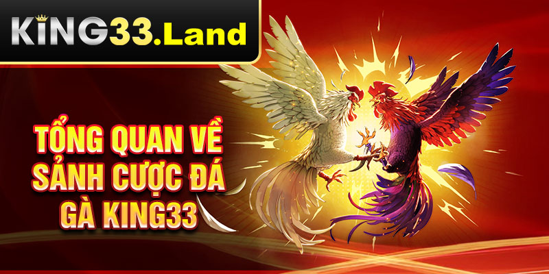 Tổng quan về sảnh cược đá gà King33