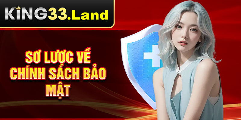 Sơ lược về chính sách bảo mật