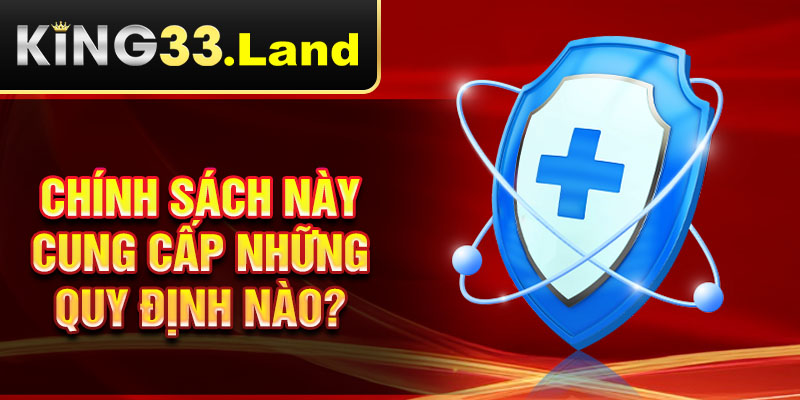 Chính sách này cung cấp những quy định nào?