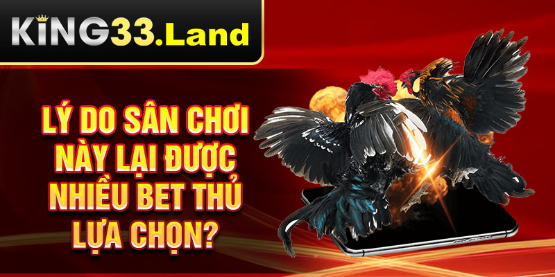 Lý do sân chơi này lại được nhiều bet thủ lựa chọn?