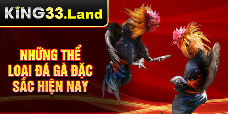 Những thể loại đá gà đặc sắc hiện nay