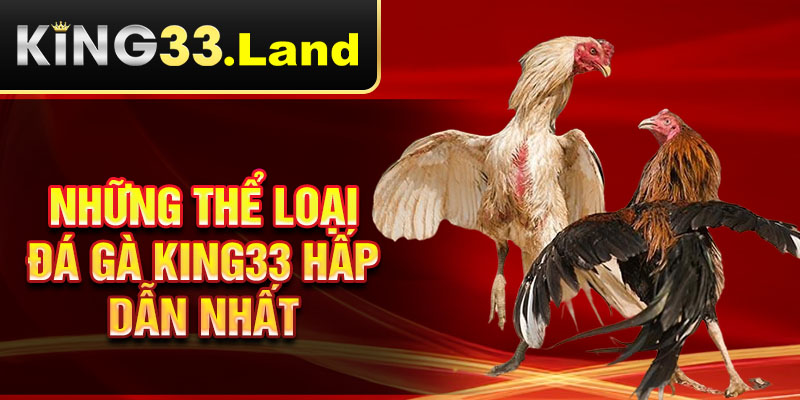Những thể loại đá gà King33 hấp dẫn nhất