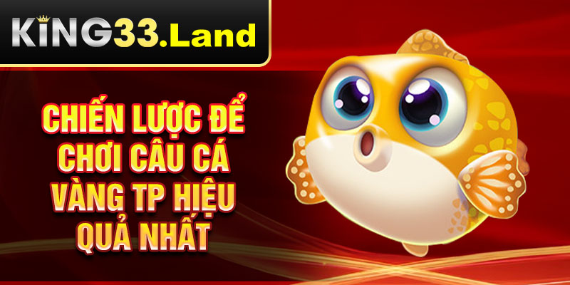 Chiến lược để chơi câu cá vàng TP hiệu quả nhất
