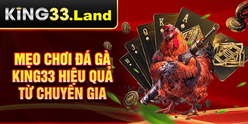 Mẹo chơi đá gà King33 hiệu quả từ chuyên gia