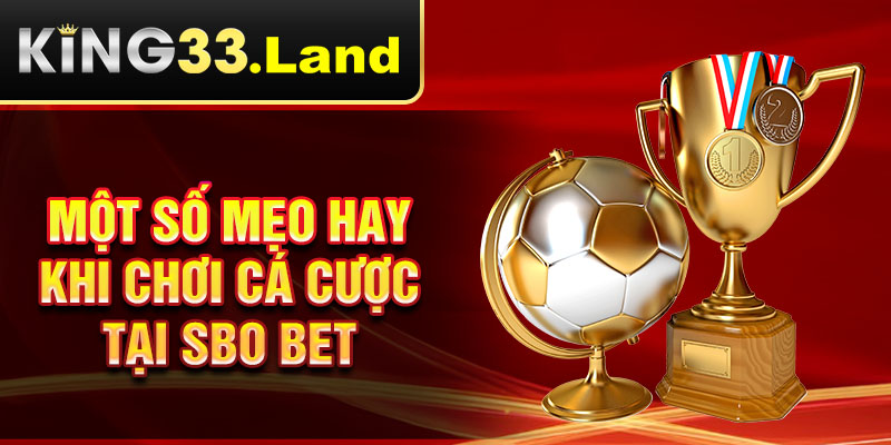 Một số mẹo hay khi chơi cá cược tại SBO BET