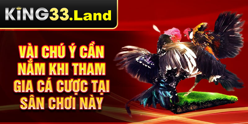 Vài chú ý cần nắm khi tham gia cá cược tại sân chơi này