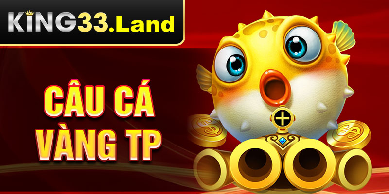 câu cá vàng tp