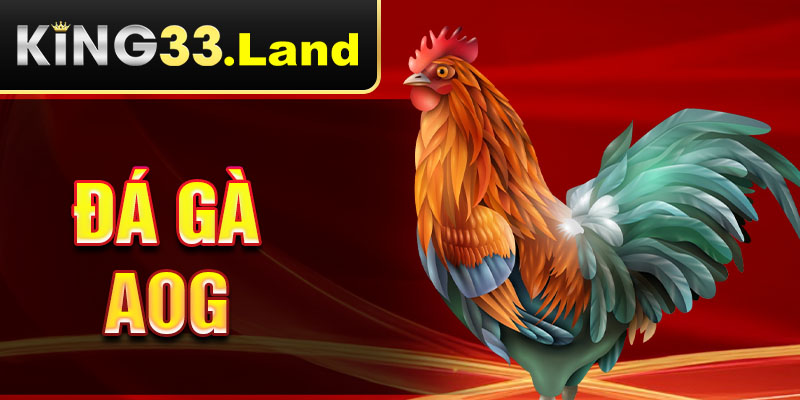 đá gà aog