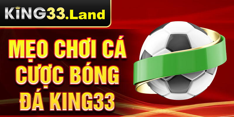 mẹo chơi cá cược bóng đá king33