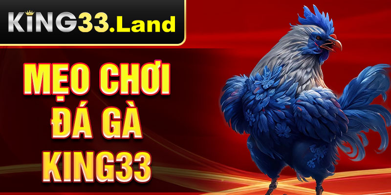 mẹo chơi đá gà king33